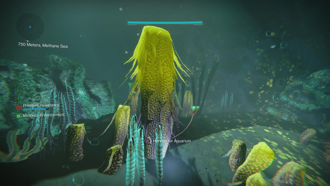 Destiny-2-Aquarium-Vivarium-Twilight-Plant-and-Twilight-Flora-3
