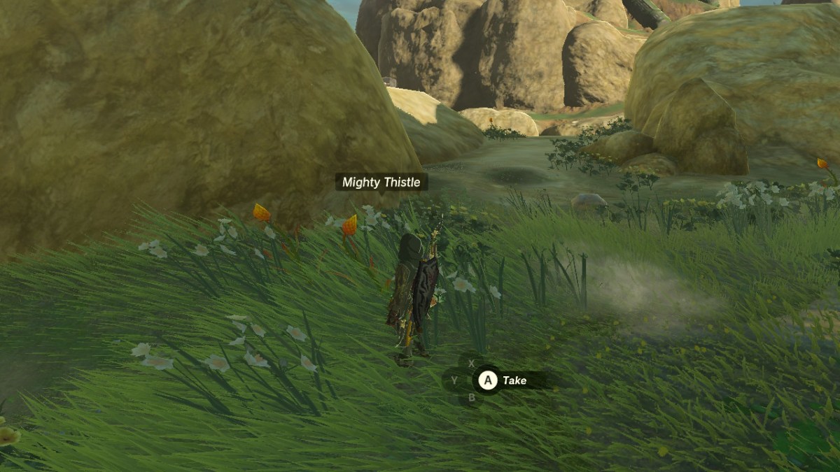 Best Farming Locations for Mighty Thistle in Zelda TOTK