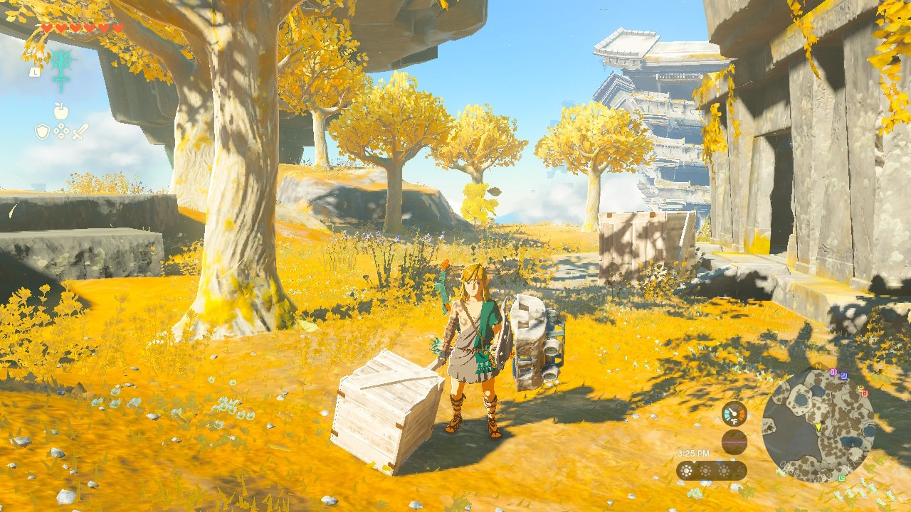 Zelda-Tears-of-the-Kingdom-Best-Early-Weapons-Wooden-Box