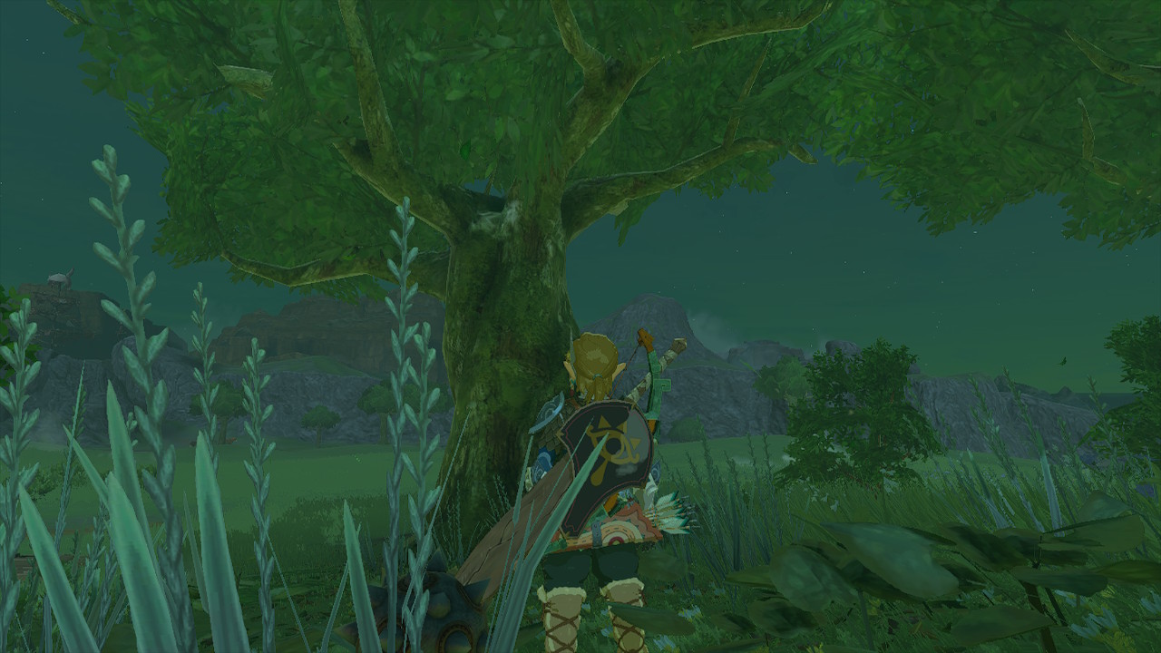 Zelda-Tears-of-the-Kingdom-Sound-Flute-Great-Fairy-Pyper-Tree