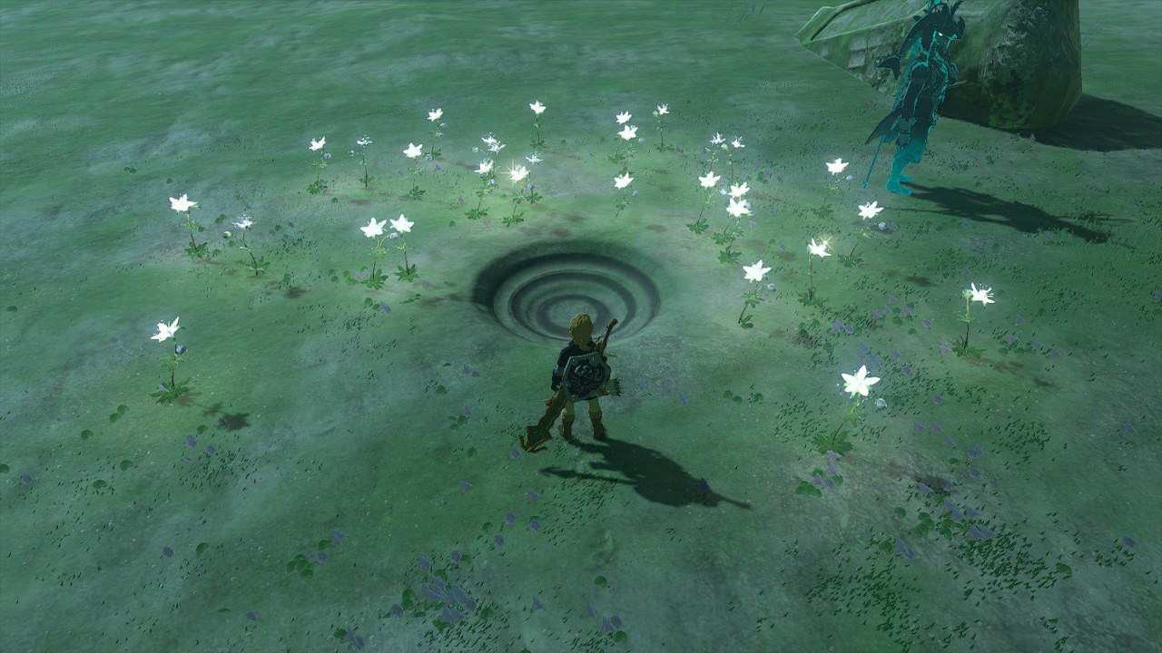 Rist Peninsula Dragon Tear Location in Zelda Tears of the Kingdom (TOTK