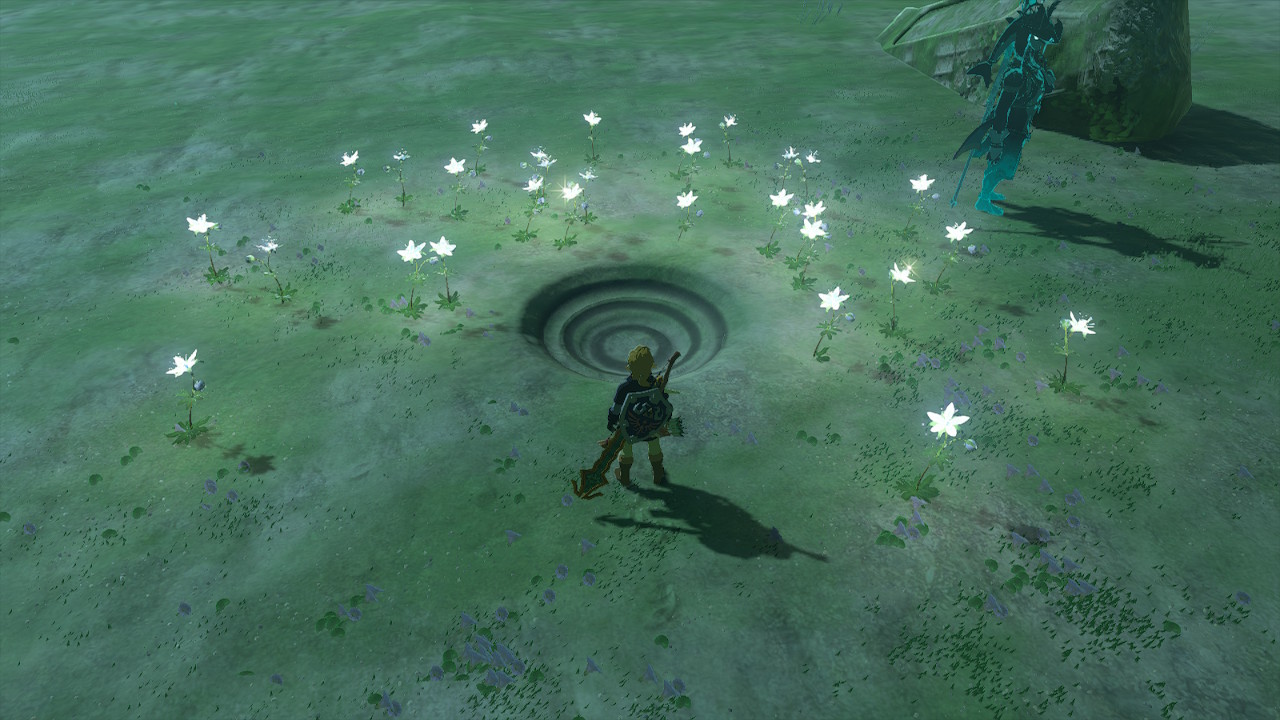 Zelda-Tears-of-the-Kingdom-TOTK-Rist-Peninsula-Dragon-Tear-Location