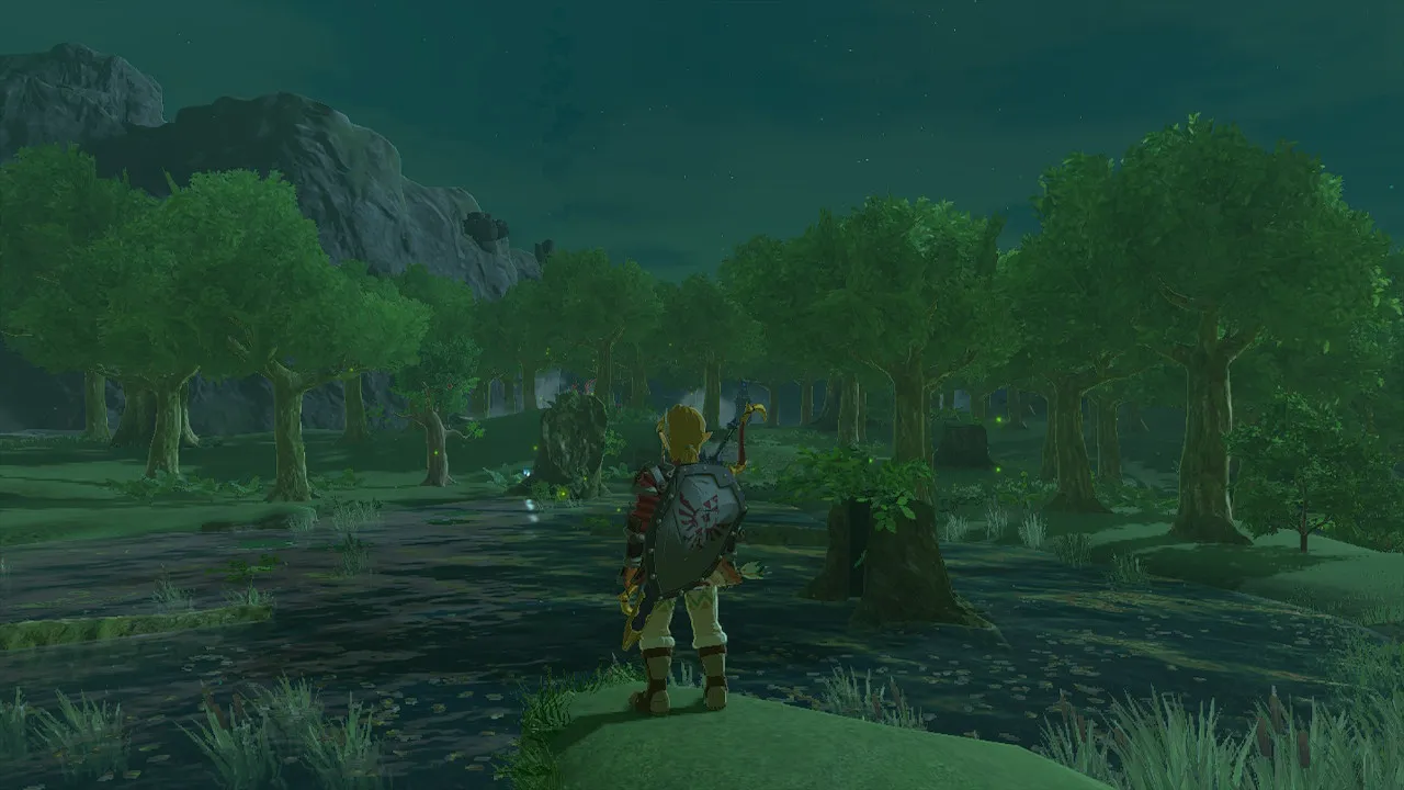 Zelda Tears of the Kingdom TOTK Sunset Fireflies