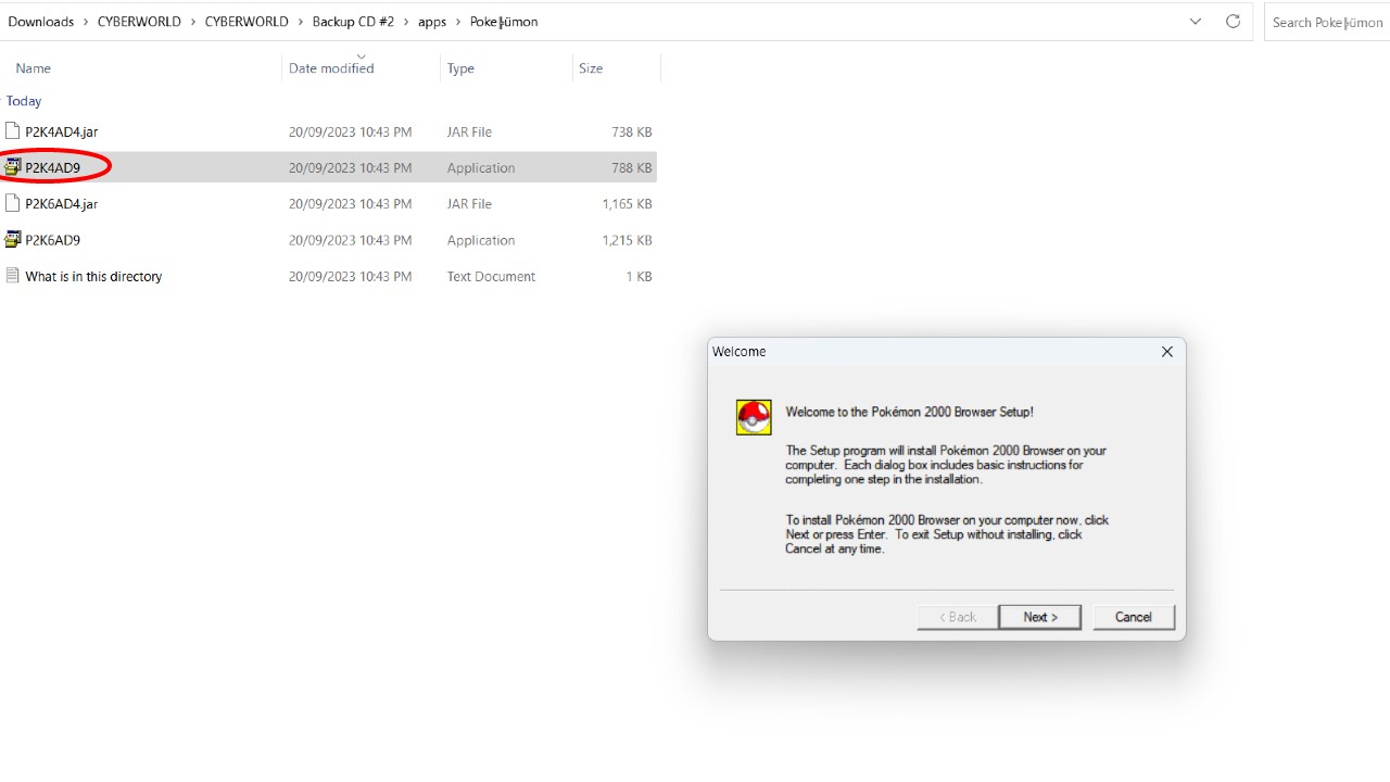 Pokemon-2000-Browser-Install-Wizard