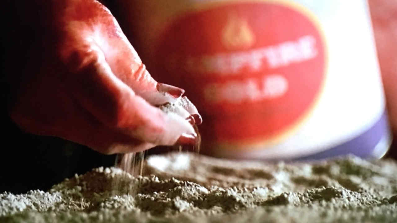 Are All of the American Horror Story (AHS) Seasons Connected? Explained