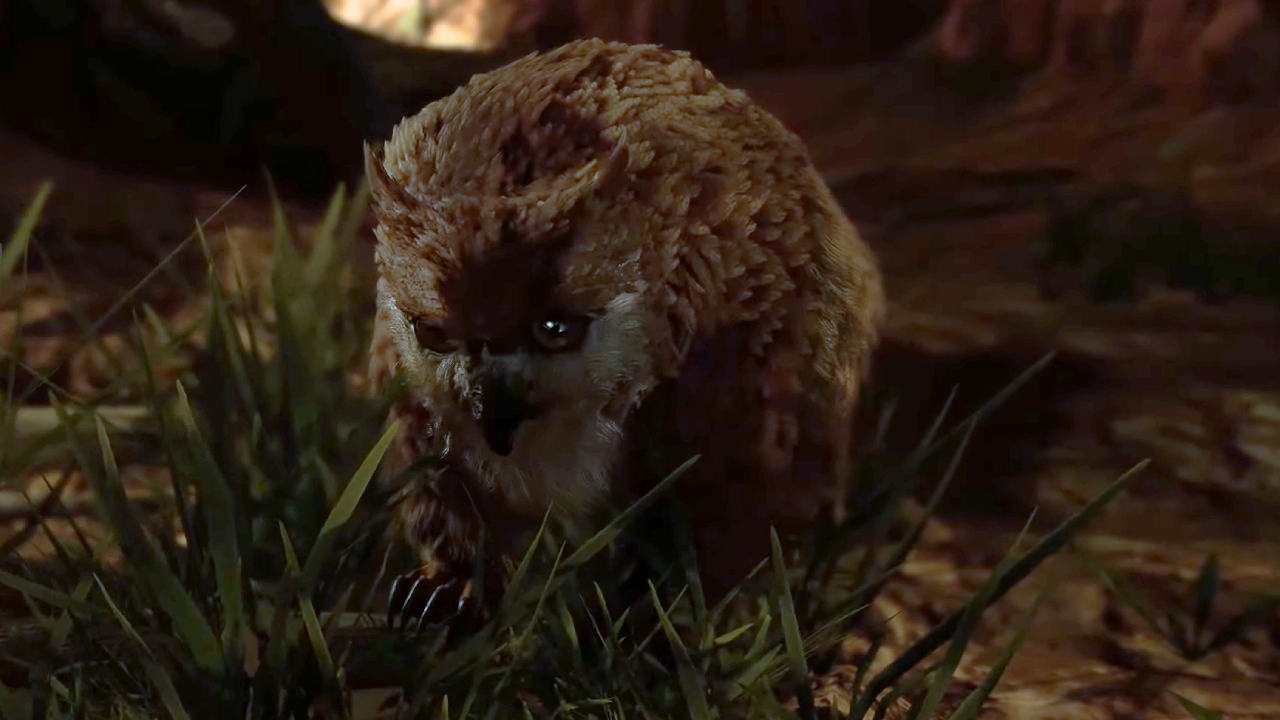 Owlbear-Cub