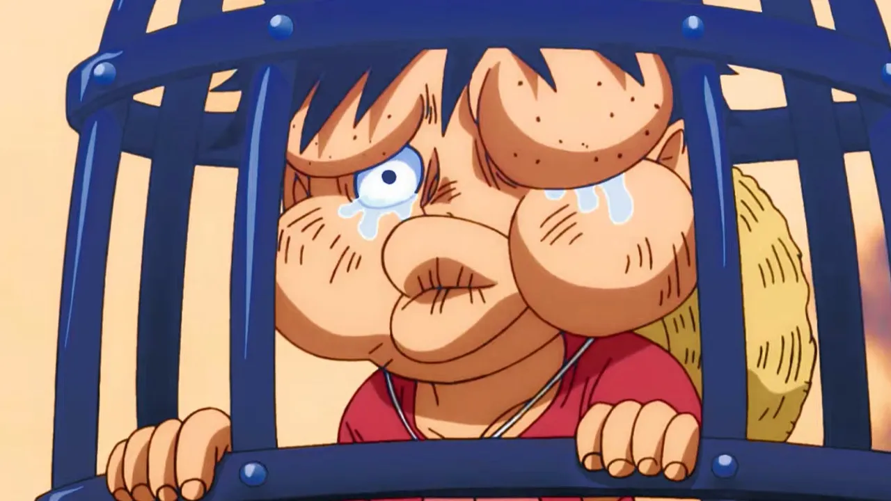 Luffy-should-have-healed-by-One-Piece-Episode-1087