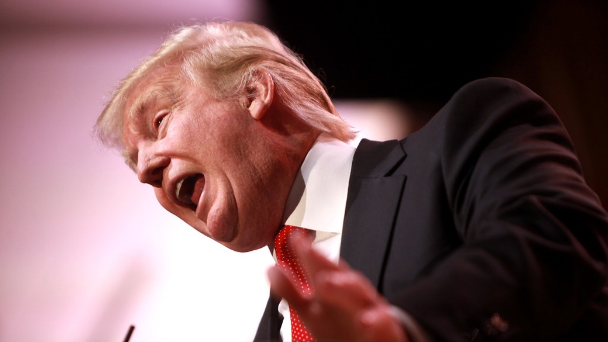 Title: Donald Trump Credit: Image by Gage Skidmore, CC BY-SA 2.0.