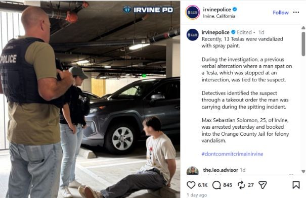 Irvine-PD-arresting-vandaliser-