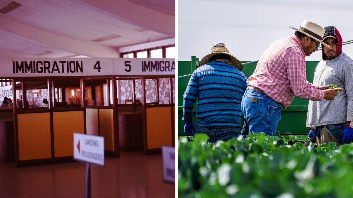 Side-by-side image showing airport immigration counters and farm workers standing in a field.