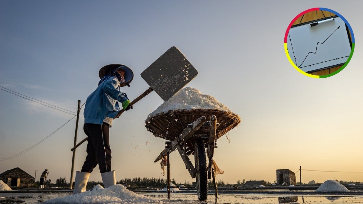 Worker shoveling salt into a raised basket at a salt field, with an inset graphic showing an upward-trending line chart.