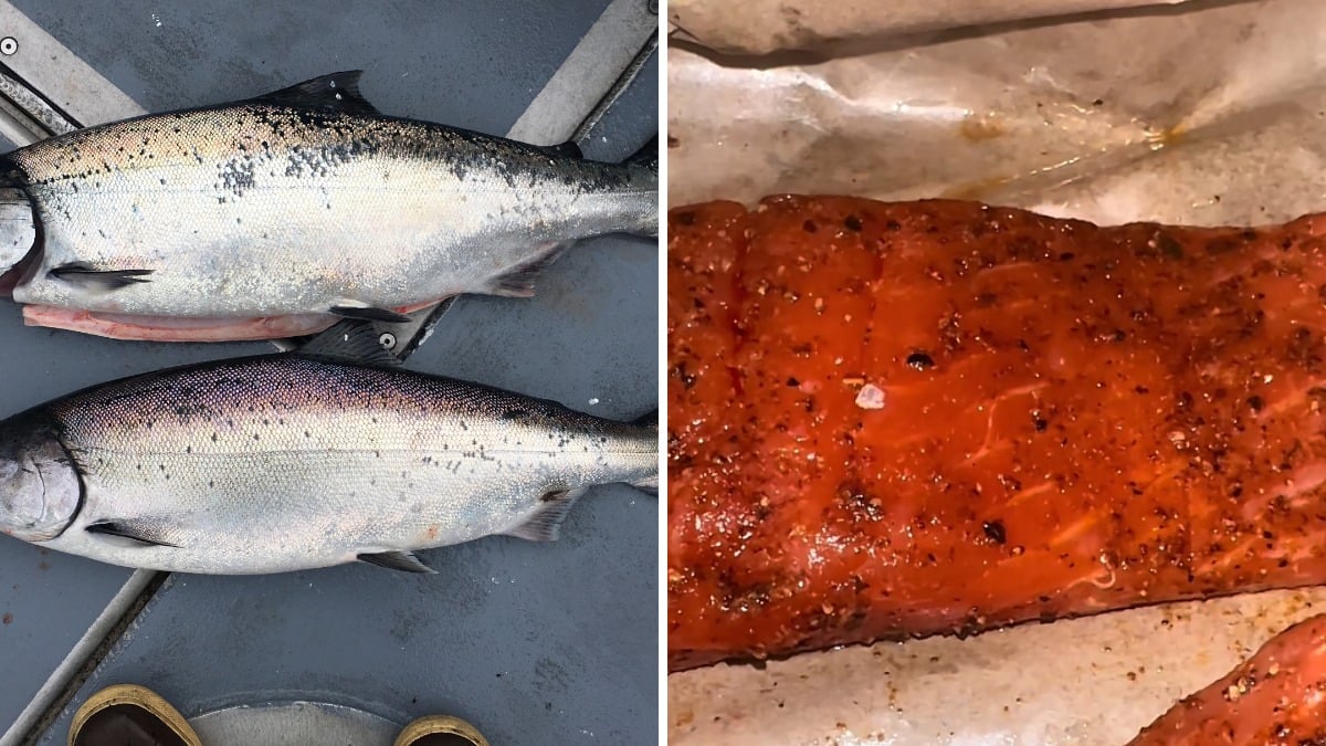 What did a Tennessee woman find moving inside her Whole Foods salmon?